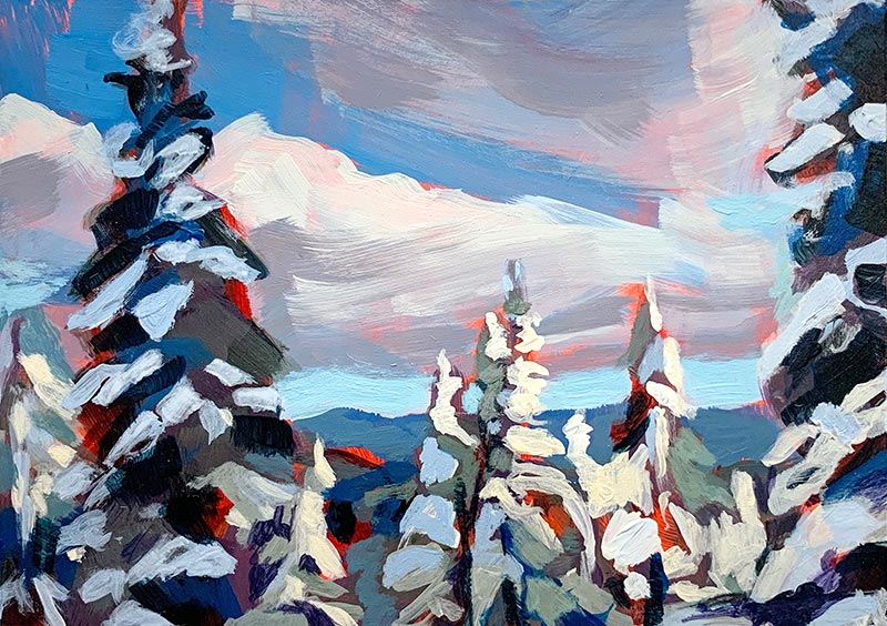 Sunlit Pines